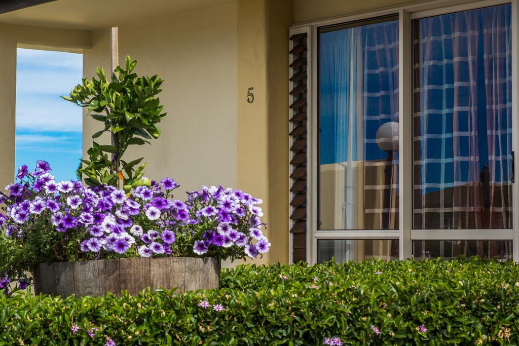 Bella Tuscany Motor Lodge เนเปียร์ ภายนอก รูปภาพ